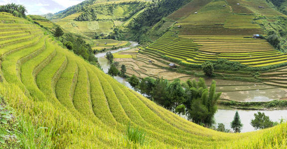 水稻梯田广泛应用于水稻, 小麦, 大麦在东, 南, 和东南亚地区农业照片