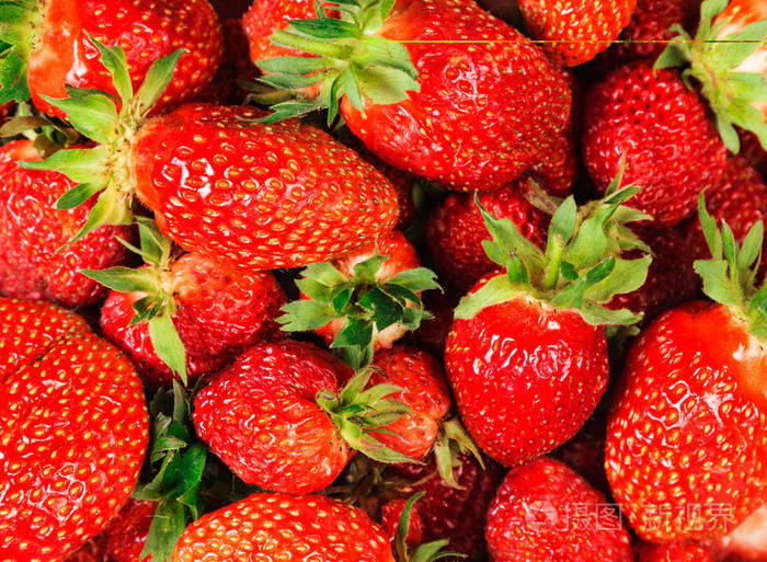 砂矿大的多汁浆果草莓特写