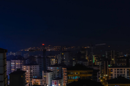 伊斯坦布尔市 kadikoy 区夜间鸟图