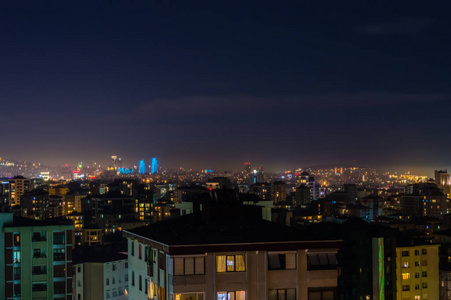 伊斯坦布尔市 kadikoy 区夜间鸟图