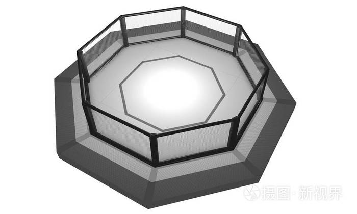 3d 渲染图的 Mma 混合武术，笼竞技场的战斗