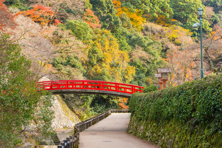 在秋天的季节，箕，大阪，日本关西箕尾公园