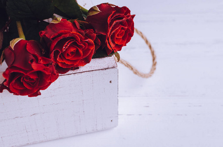 红红的玫瑰花朵上破旧别致的白色背景
