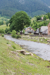 河在山区农村的绿色银行图片