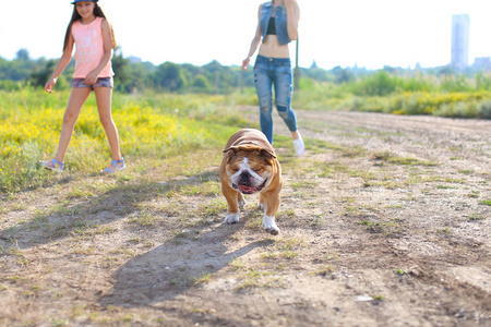 玩的朋友美国斗牛犬跑步的女孩女