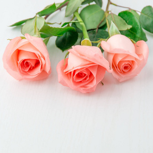 三个粉红珊瑚玫瑰白色的木桌上图片