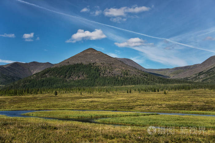 北部的景观寒带森林和山