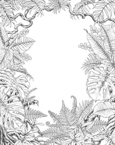 手工绘制的热带植物框架