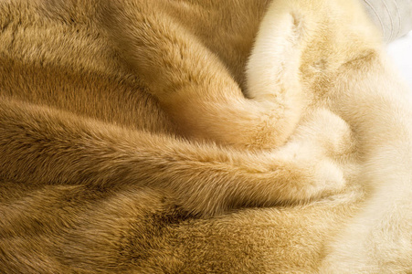 半动物纹理背景. 貂皮毛皮. 貂皮大衣. 金色水貂皮毛.