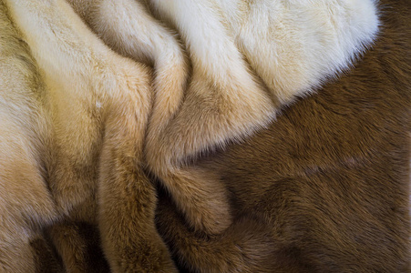 貂皮毛皮. 貂皮大衣. 金色水貂皮毛.