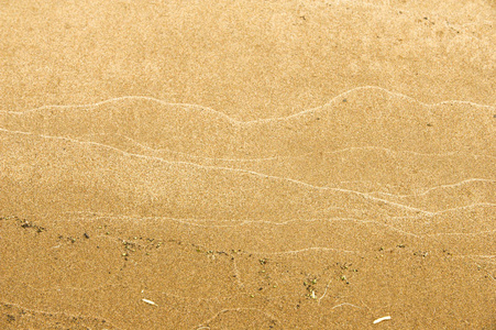纹理背景。 海滩上的沙子。 松散的粒状物质，淡黄棕色，由硅质和其他岩石侵蚀而成，构成海滩的主要组成部分
