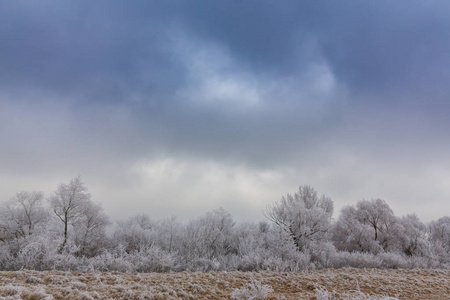 美丽的冬天风景树木受霜冻，沿着冰冻的河和暴风云