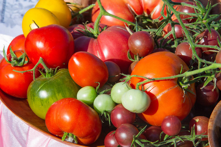 纹理背景。 不同品种的西红柿。 一种有光泽的红色或偶尔黄色的可食水果，通常作为蔬菜或沙拉食用。