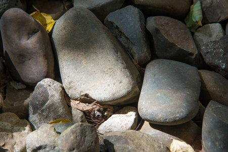 纹理背景。 鹅卵石。 由水或沙子作用而成的光滑而圆的小石头。