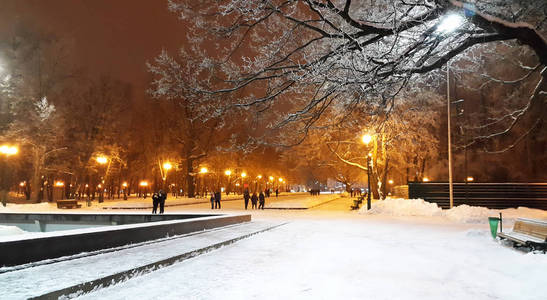 冬天晚上在哈尔科夫公园乌克兰