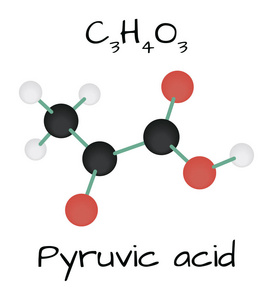 分子丙酮酸 C3h4o3