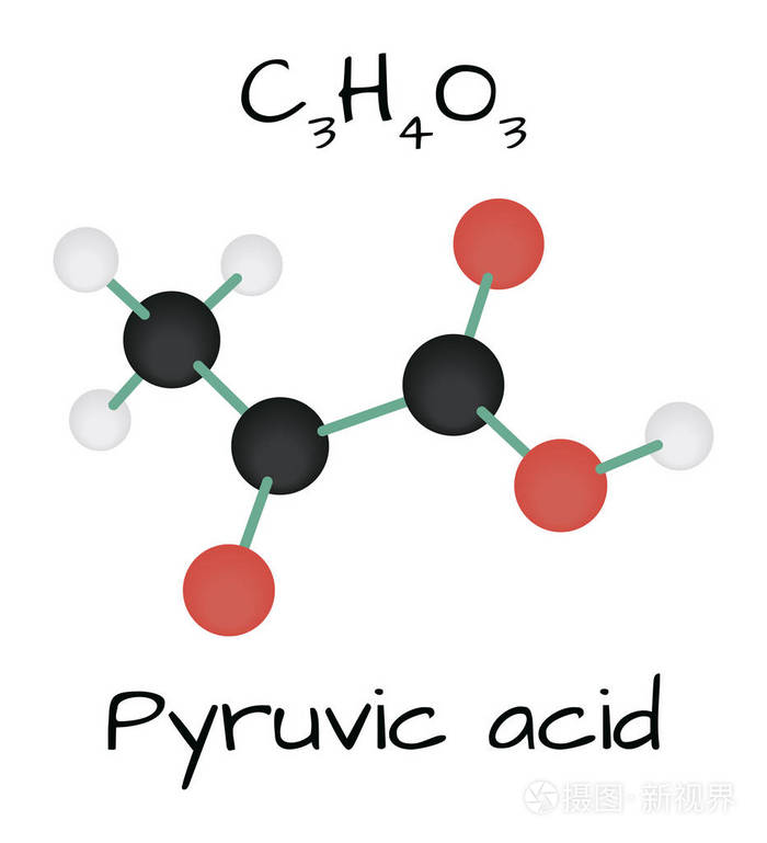 分子丙酮酸 c3h4o3