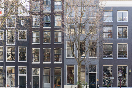 窗户和建筑物在阿姆斯特丹的思考