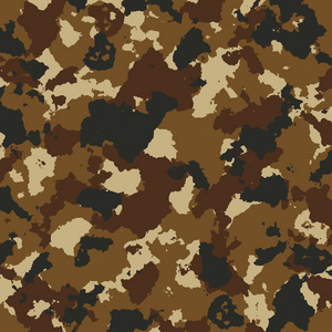棕色颜色矢量军用迷彩花纹照片