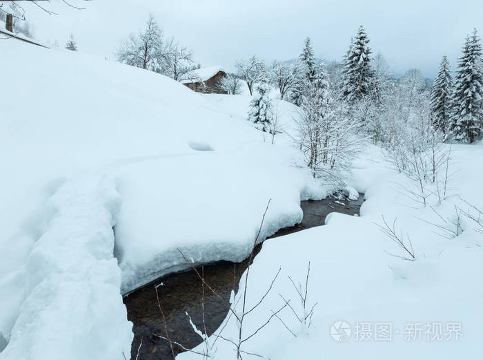 溪在冬季喀尔巴阡山