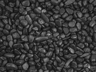 黑色卵石图片