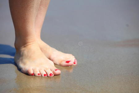 红脚在沙滩上放松