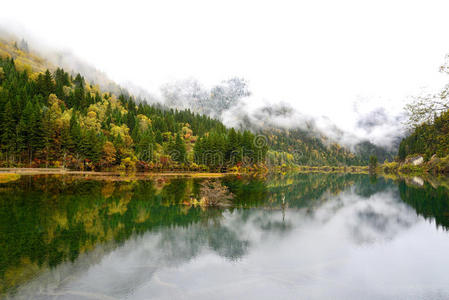 九寨沟箭竹湖