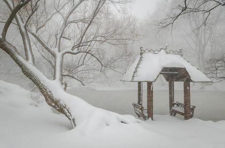 瓦格纳湾和露台在雪地里，中央公园，