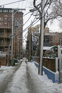 芝加哥附近道路上有雪