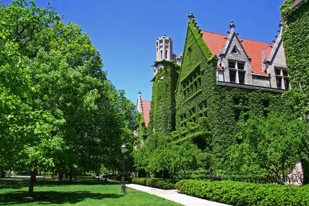 芝加哥大学校园图片