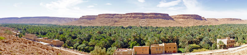 摩洛哥非洲戴德山谷的绿洲