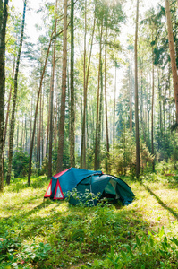 早晨。帐篷。木头。
