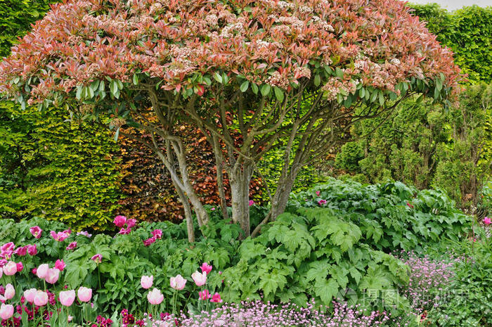 诺曼底,吉弗尼的一个公共花园