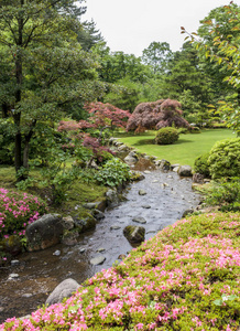 日本花园的一部分,有小溪,粉红色的花和红叶的槭树.照片