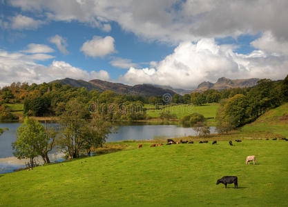 坎布里亚市loughrigg tarn