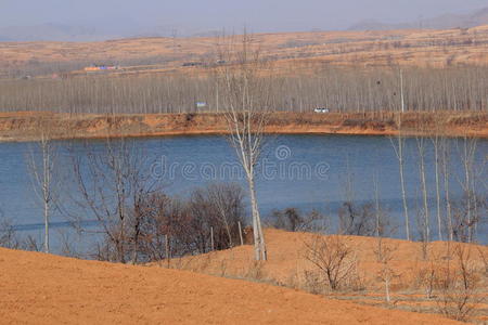 冬季湖景