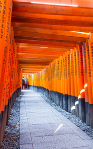 京都浮世弥勒神社的都灵门