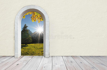 空的 米色 环境 木板 拱门 门户 大门 未来 镶木地板