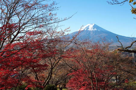 富士山