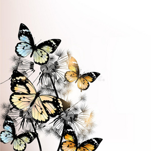 蝴蝶和蒲公英的花卉背景