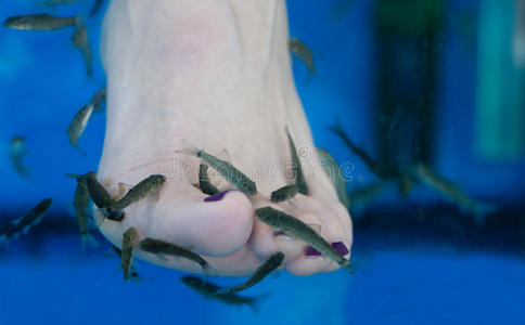 钉子啃鱼疗足疗照片