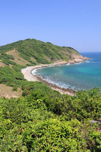 海岸，植被，海洋，岬角，自然保护区，海岸，和，海洋，地貌，海角，天空，海岸，海角，海湾，海滩