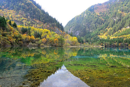 九寨沟五花湖