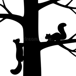 树上有两只松鼠。