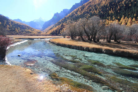 风景 小山 漫滩 攀登 资源 地貌 小溪 储备 国家的 河流