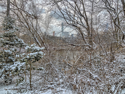 雪灾过后在湖边