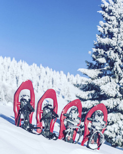 冬季徒步旅行。在山里徒步旅行带着背包和帐篷雪的冬天