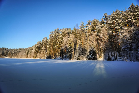 在阳光明媚的寒冷冬日里冻雪的湖和松树林