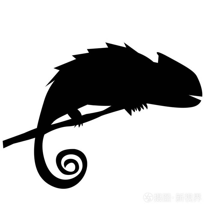 变色龙的树枝上的剪影