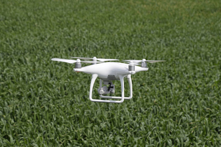 在一片麦田上空飞行白色 quadrocopters